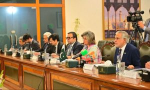 Pakistan, Poland, Deputy Prime Minister, Kashmir, Gaza, Taliban,