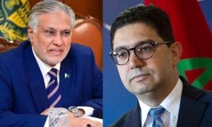 Pakistan, Morocco, UNGA,