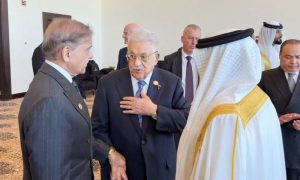 Pakistan, Prime Minister, Ceasefire, Egypt, Gaza, Palestine, Trump,