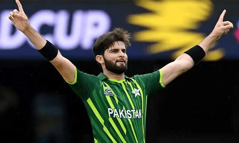 Shaheen Afridi, knee injury, PCB, rehabilitation, T20 World Cup, BBL