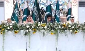 Pakistan, Saudi Arabia, Sindh, Special Economic Zones, Joint Business Council,