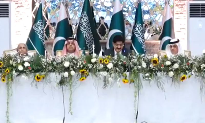 Pakistan, Saudi Arabia, Sindh, Special Economic Zones, Joint Business Council,