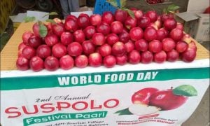 Saspolo Apple, Gilgit-Baltistan, Baltistan, Farmers, Export, Fruit, Taste, Pari Village, Kharmang