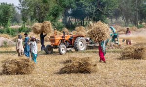 Farmers, Wheat Price, Pakistan, Punjab, flood relief, Kisan convention, Rabi, agriculture