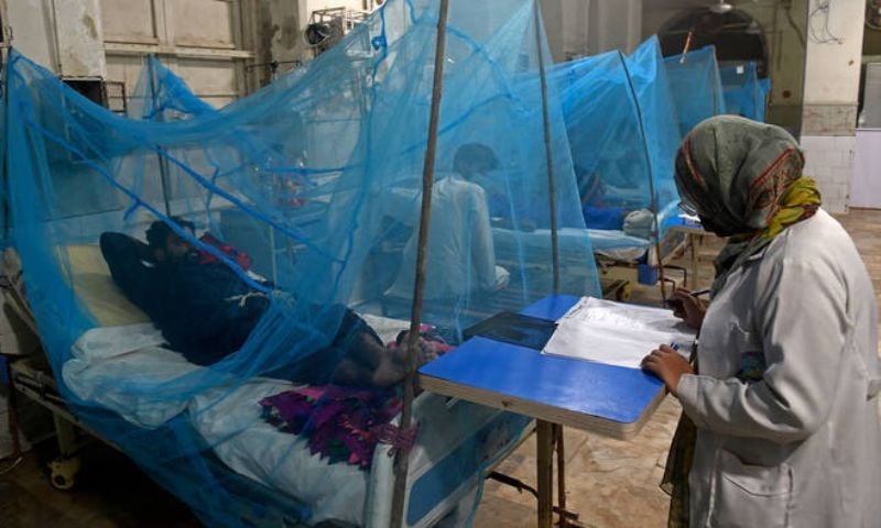 Dengue Outbreak, Pakistan, Sindh, Karachi, Health System, Health Facilities,