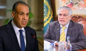 Egypt’s Foreign Minister Dr Badr Ahmed Mohamed Abdelatty