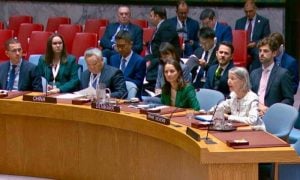 Pakistan, UNSC, Afghan Taliban, TTP, Afghan, Majeed Brigade, Daesh