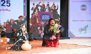 Folk Festival, Indigenous Arts, Traditional Crafts, Cultural Exchange, Musical Performances, International Pavilion