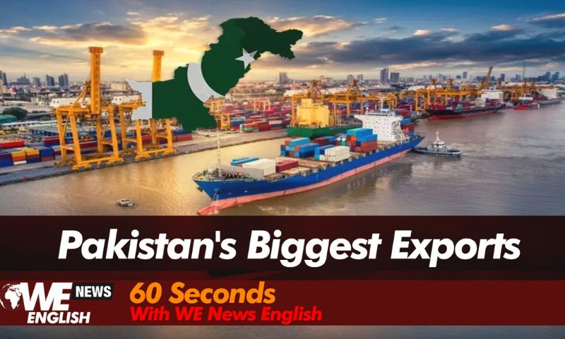 Pakistan's Biggest Exports