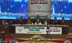 Peace Jirga, Peshawar, Khyber Pakhtunkhwa, law and order, tribal elders