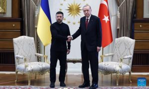 Ukraine, Russia, Turkiye, Ankara, Zelensky, Recep Tayyip Erdogan, US, Putin, Peace Talks,
