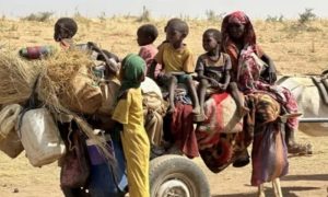 Over 16,000 Sudanese Flee El-Fasher as RSF Seizes North Darfur Capital Amid Rising Violence