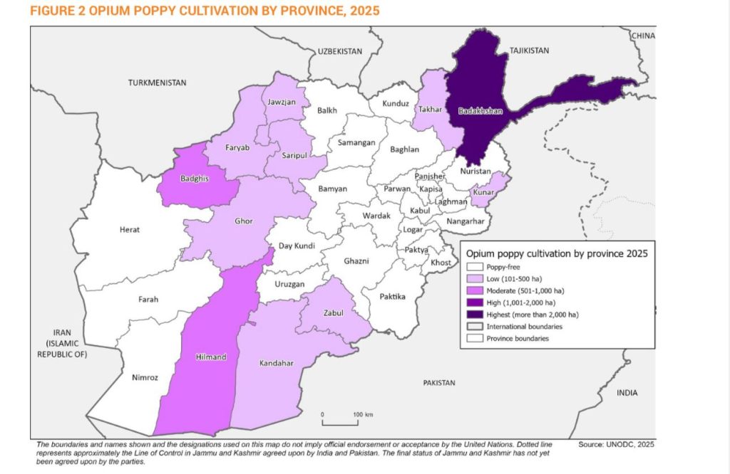 WhatsApp Image 2025 11 06 at 5.40.30 PM