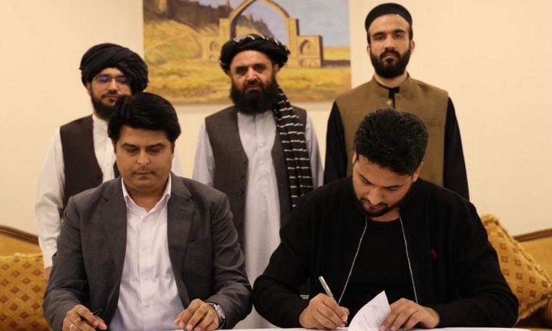 Afghanistan, India, Pharma, Zydus, Taliban,