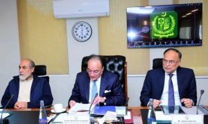 Pakistan SOEs, board appointments, governance reforms, privatisation, ZTBL, SNGPL, SMEDA, SEC