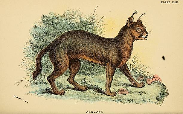 gettyimages 2239033136 612x612 1