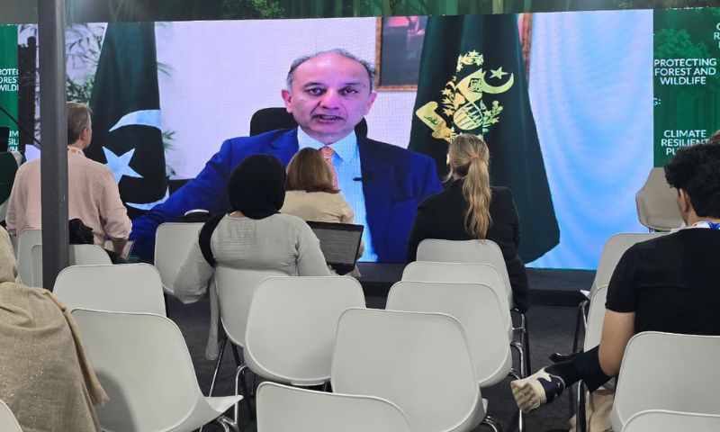 Pakistan, UN Climate Summit, UNICEF, COP3, Green Skills, European Union