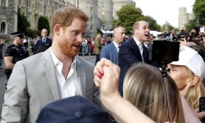 Prince Harry, Prince William, British, US,