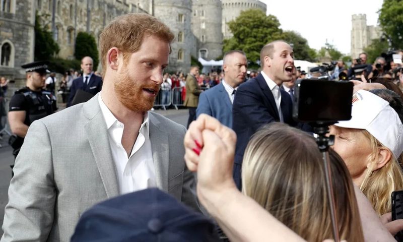 Prince Harry, Prince William, British, US,