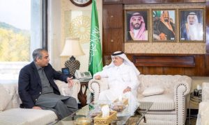 Pakistan, Saudi Arabia, Rohingya Muslims, Kingdom,