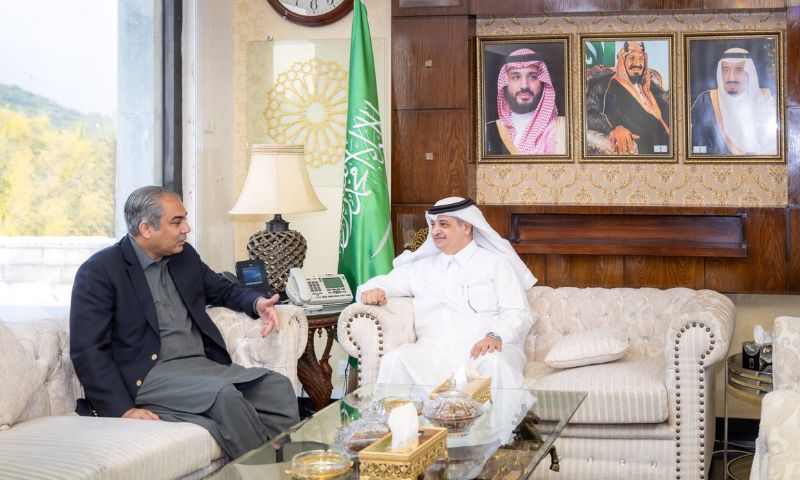 Pakistan, Saudi Arabia, Rohingya Muslims, Kingdom,