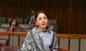 Domestic Violence Bill, National Assembly, Islamabad, Sharmila Faruqui, protections, CEDAW.