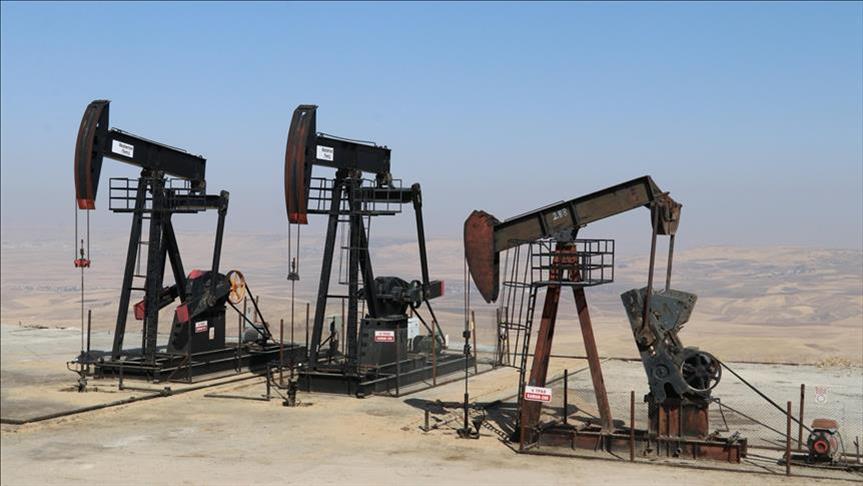 thumbs b c d81e850eee3c54f64e1600d728600882