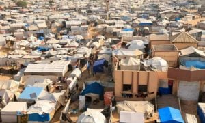 Palestinians, South Africa, Cleanse, Israel, West Bank, Gaza, Pretoria, Flights, Airport,