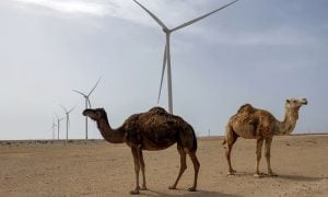 UN Security Council Backs Morocco Plan for Western Sahara Autonomy