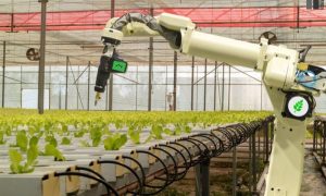 Machine Learning, Planet, AI, Climate Crisis