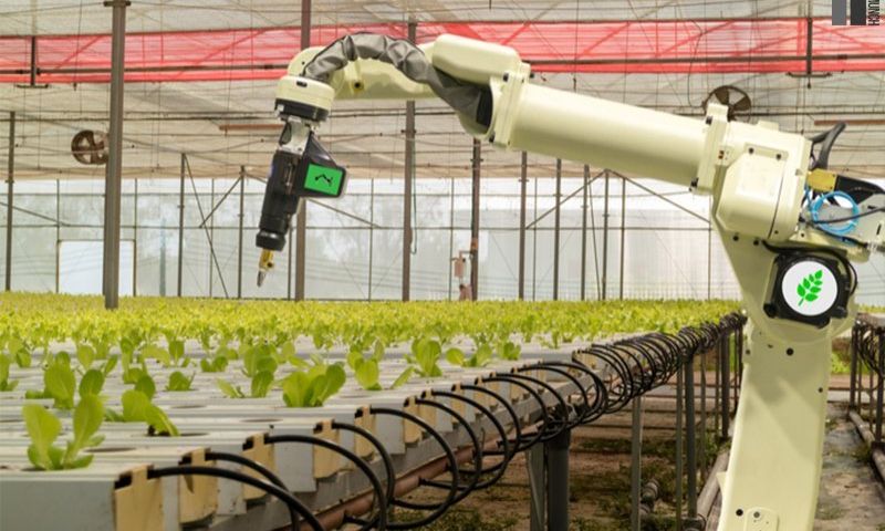 Machine Learning, Planet, AI, Climate Crisis