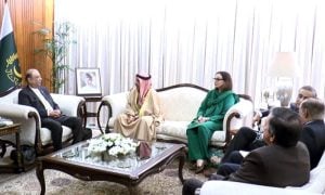 Pakistan, Bahrain, Asif Ali Zardari, Bahraini investors, trade and investment, food security, IT sector, tourism, Pakistani diaspora, UN Security Council,