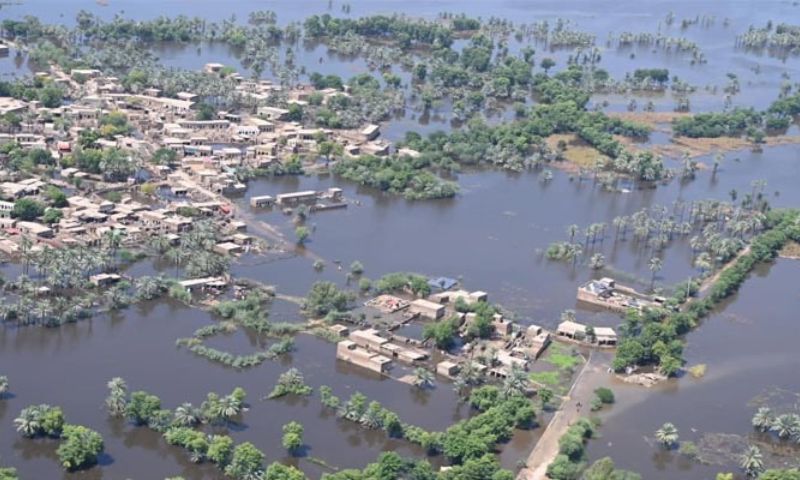 Pakistan 36