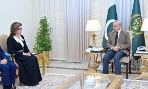 Pakistan, Tajikistan, Prime Minister, Cultural Collaboration,