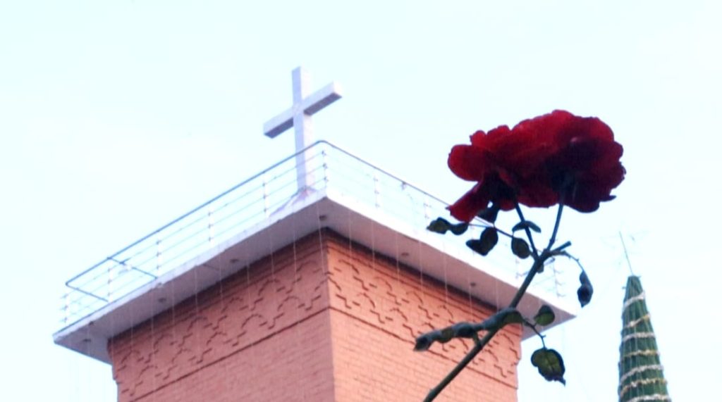 WhatsApp Image 2025 12 25 at 2.25.50 PM 1