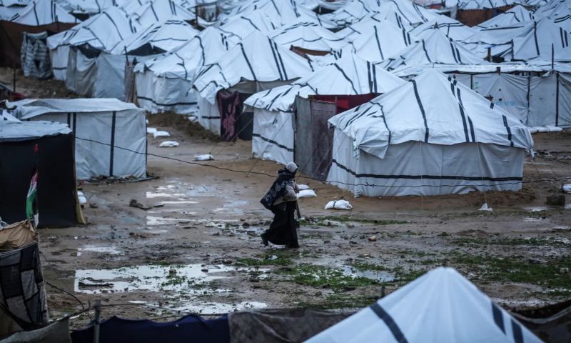 Gaza, Israel, Rains, Cold, Weather, Humanitarian Aid, Shelters, Tents,