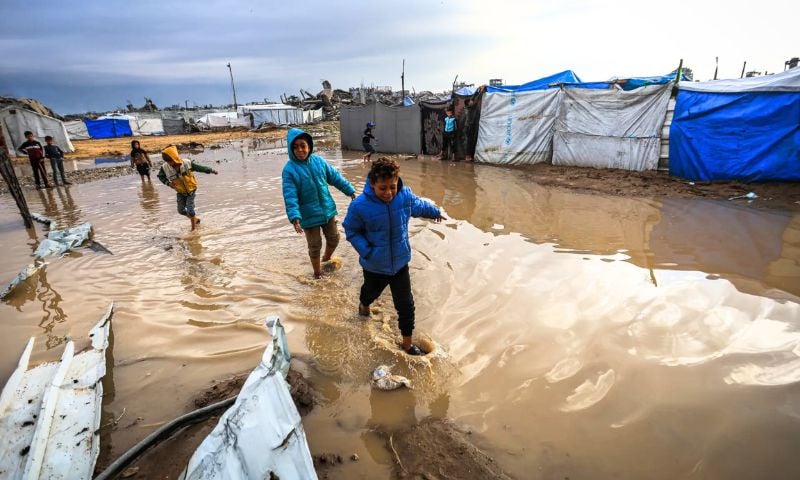 Gaza, Flooding, IOM, Displaced Families, Shelter Materials, Heavy Rains, Aid Access, UN,