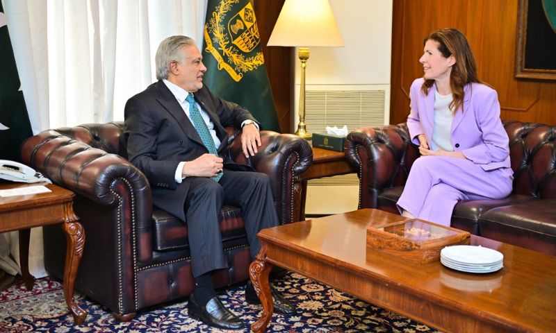 Pakistan, UK, British, Gaza, UAE, Deputy Prime Minister,