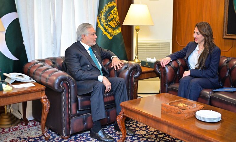 Pakistan, US, EXIM Bank, Minerals, Reko Diq, USEFP,