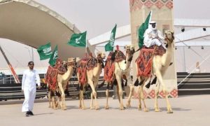 King Abdulaziz, Camel, Festival, Attracts, Global Tourists