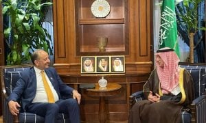 Saudi Arabia, Pakistan, Climate Change, Saudi Green Initiative, UNAOC