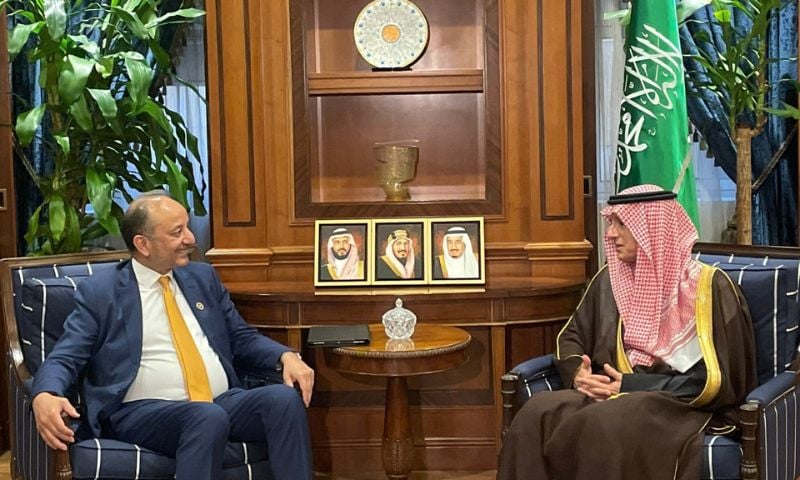 Saudi Arabia, Pakistan, Climate Change, Saudi Green Initiative, UNAOC