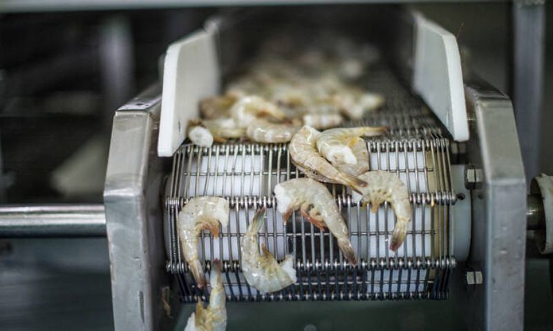 punjab government 01