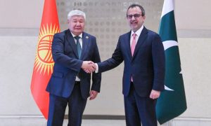 Pakistan, CASA-1000, Kyrgyz Republic, Afghanistan, Energy Market, European Energy Grid, World Bank,