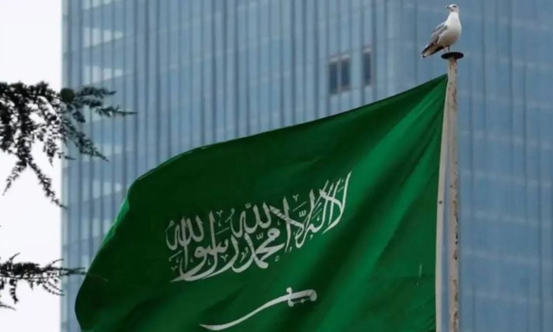 Saudi Arabia, African Union, Israel, Recognition, Somalia, Somaliland,