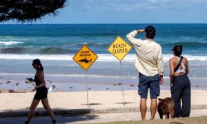 Australian Boy Dies After Shark Attack in Sydney Harbour
