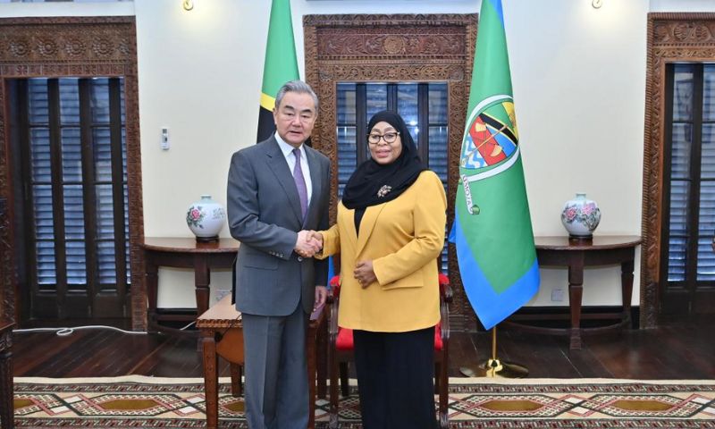China Opposes Foreign 'Force Interference' in Tanzania