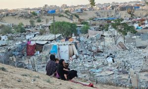 Gaza humanitarian crisis, Muslim nations, UNRWA, Displaced Palestinians, International NGOs, Rafah Crossing, UN Security Council, Ceasefire,