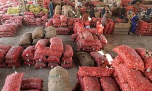 Border Closures Devastate Farmers as Vegetable Prices Plunge in Khyber Pakhtunkhwa