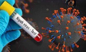 Nipah Virus, T20 World Cup, ICC, India, Public Health Emergency, Cricket Boycott Nipah Virus Outbreak in India Raises Concerns Ahead of T20 World Cup